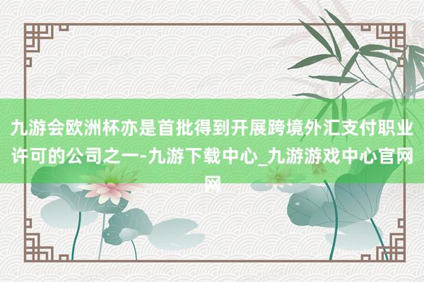 九游會歐洲杯亦是首批得到開展跨境外匯支付職業許可的公司之一-九游下載中心_九游游戲中心官網