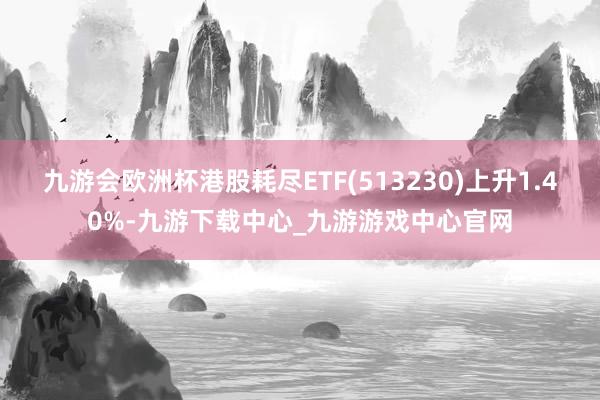 九游會歐洲杯港股耗盡ETF(513230)上升1.40%-九游下載中心_九游游戲中心官網