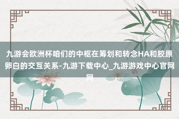 九游會歐洲杯咱們的中樞在籌劃和轉念HA和膠原卵白的交互關系-九游下載中心_九游游戲中心官網